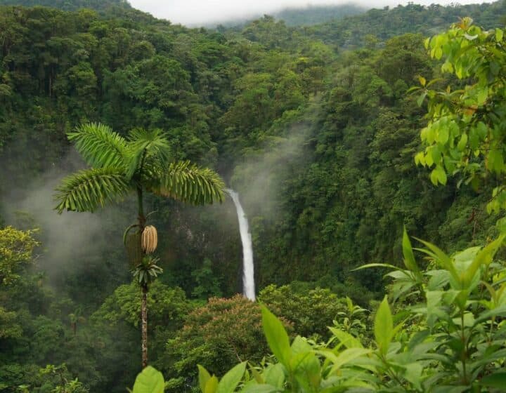 Kerala 4 Nights 5 Days